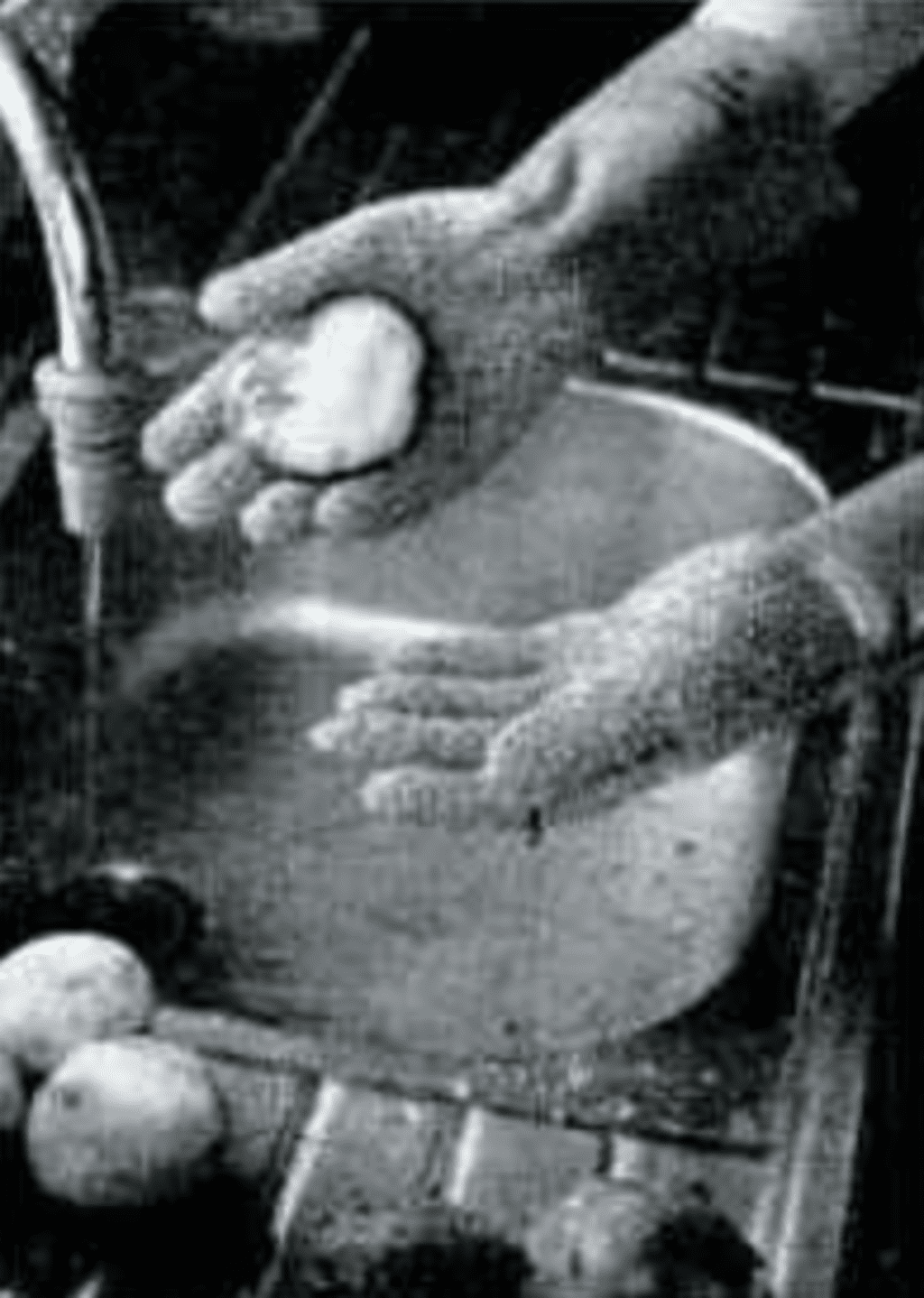 abrasive-gloves-2 abrasive gloves