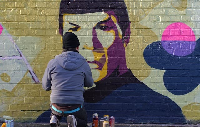 graffiti-1015952_640 (1) spock