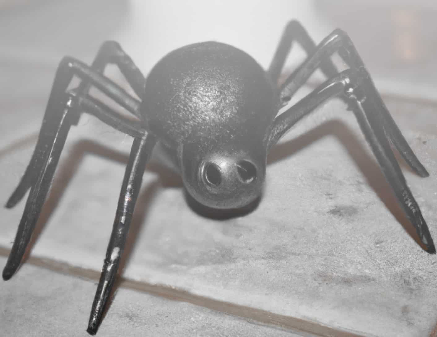 fake spider